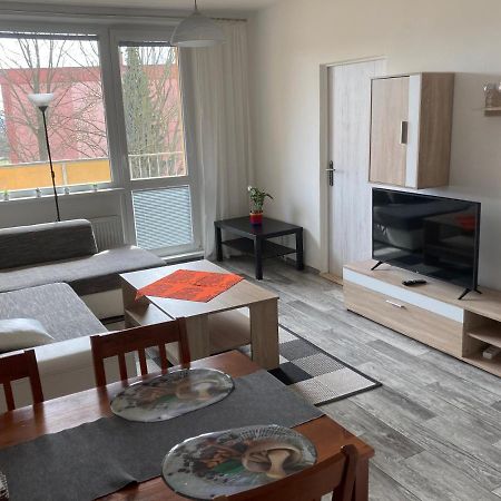 Apartman Ve Velkych Losinach Velké Losiny Exteriör bild
